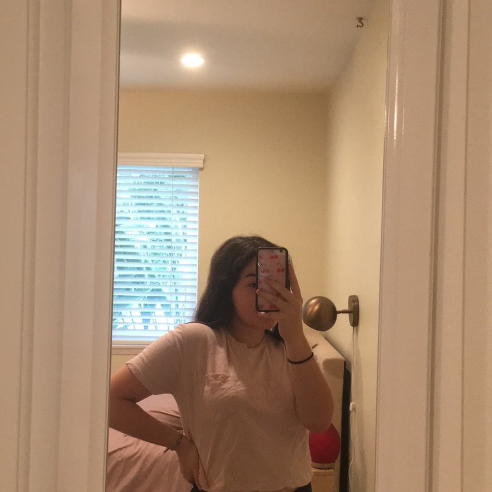 Brandy Melville Cropped T- Shirt